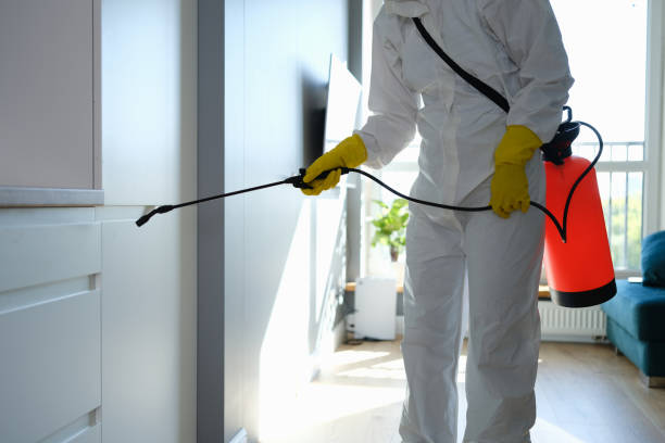 Best Biohazard Mold Removal  in North Augusta, SC